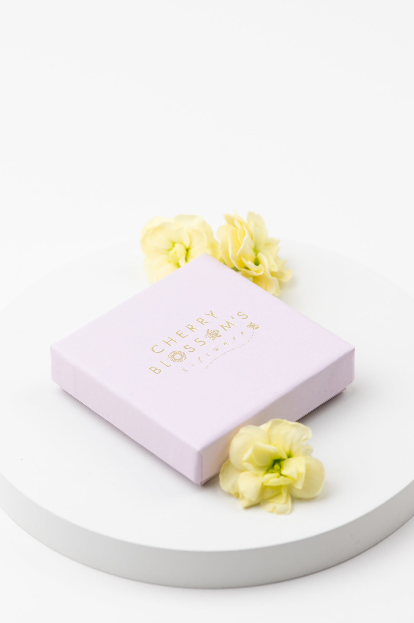 Cubic zirconia Heart Necklace